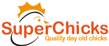 SuperChicks